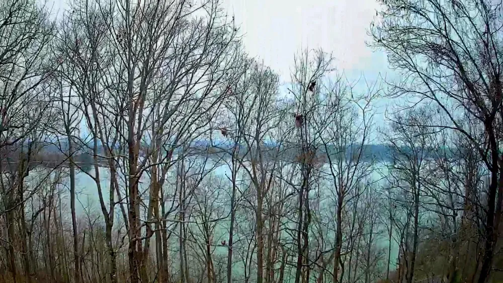 Johnson Lane Ten Mile, TN 37880