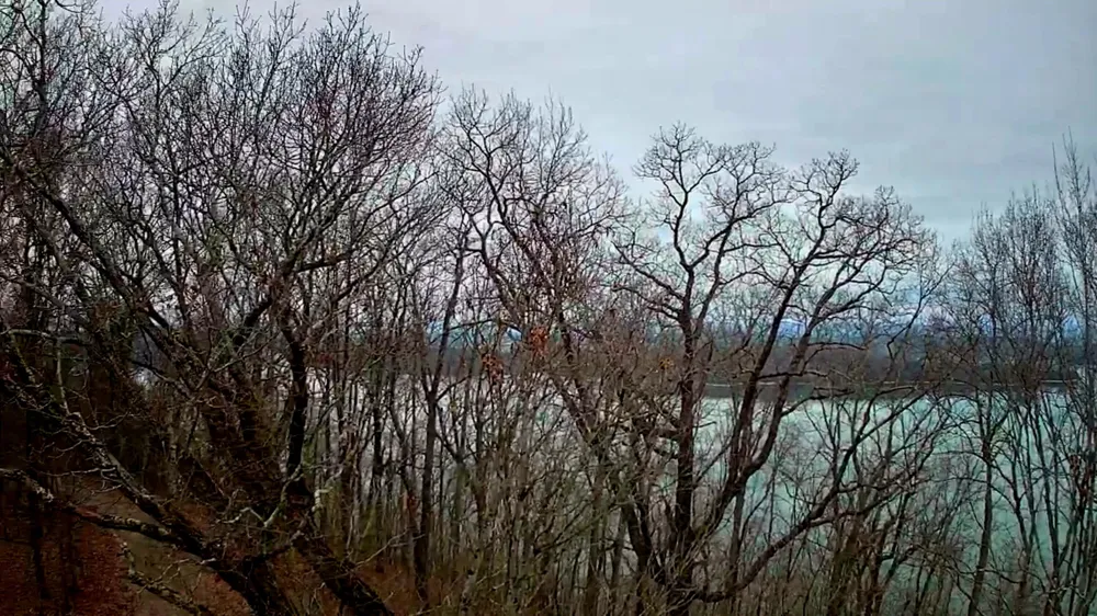 Johnson Lane Ten Mile, TN 37880