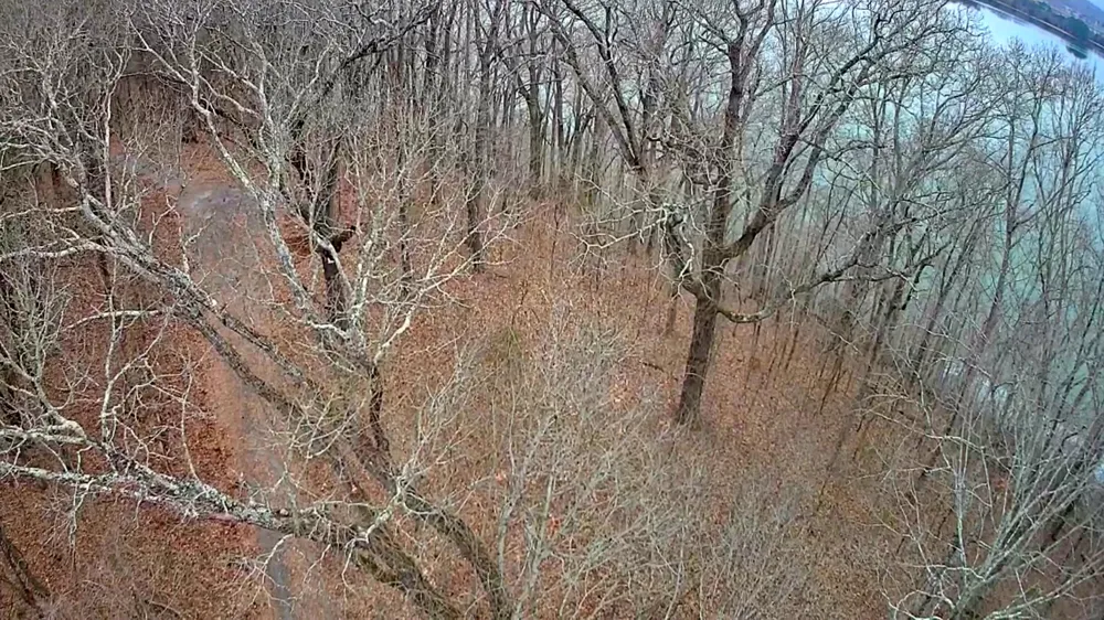 Johnson Lane Ten Mile, TN 37880