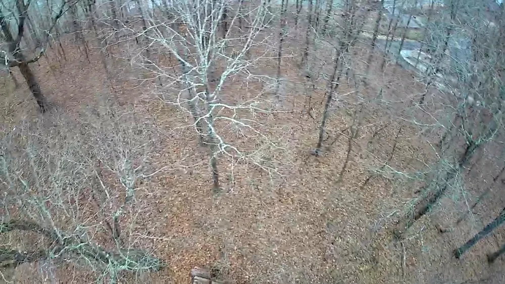 Johnson Lane Ten Mile, TN 37880