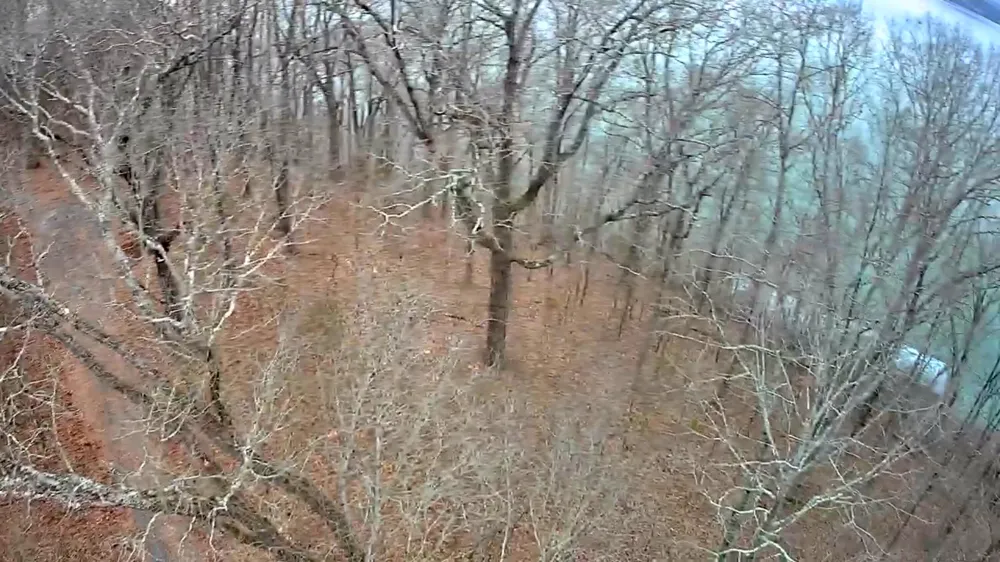 Johnson Lane Ten Mile, TN 37880