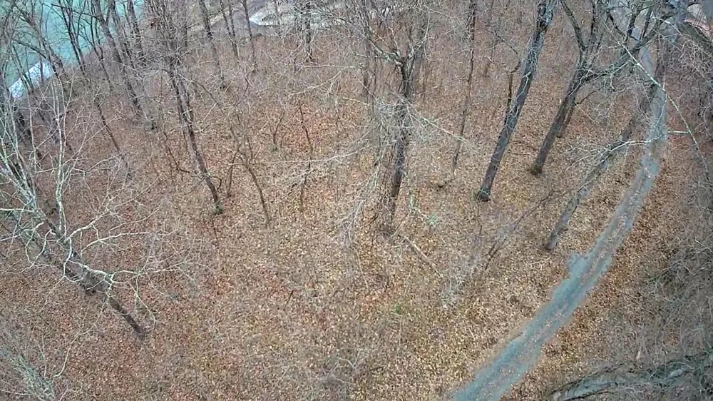Johnson Lane Ten Mile, TN 37880