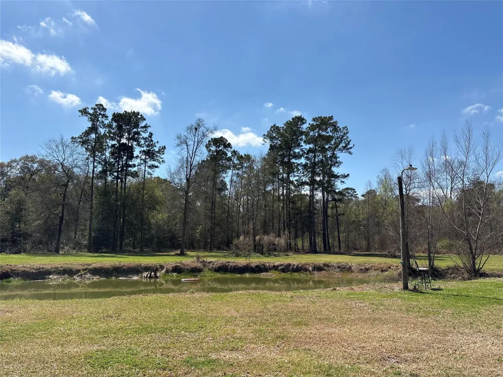 1821 E Beverly Drive Shepherd, TX 77371