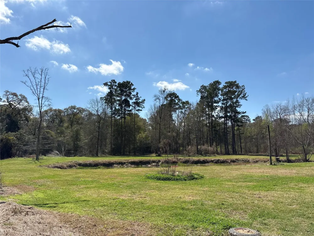 1821 E Beverly Drive Shepherd, TX 77371