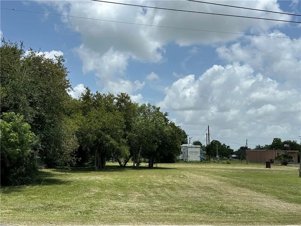 322 S 7th Street Skidmore, TX 78389