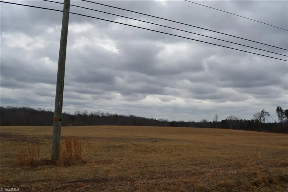 41 Acres NC Highway 770 Stoneville, NC 27048