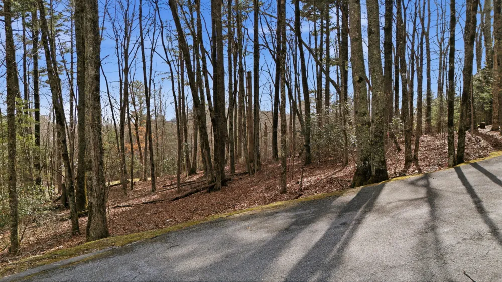 238 Wild Iris Cashiers, NC 28717