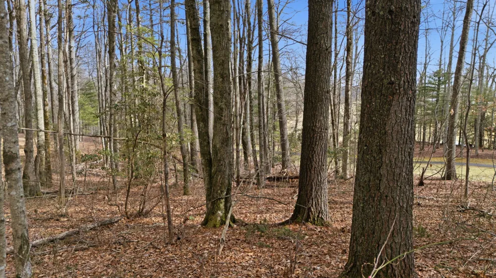 238 Wild Iris Cashiers, NC 28717