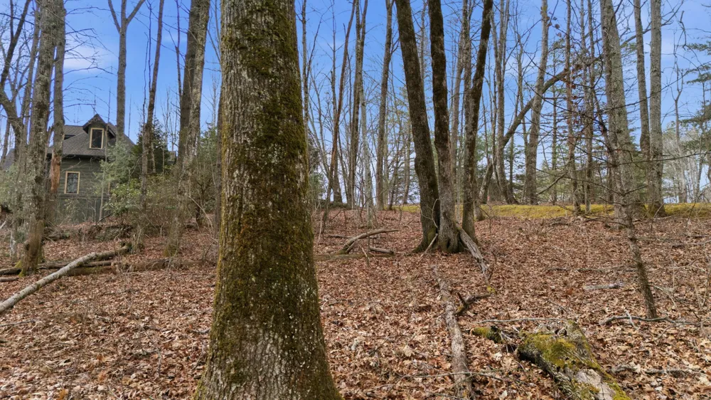 238 Wild Iris Cashiers, NC 28717