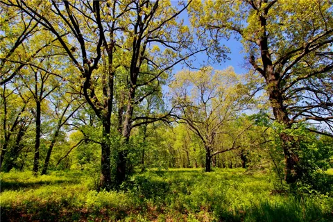 Garner Lane