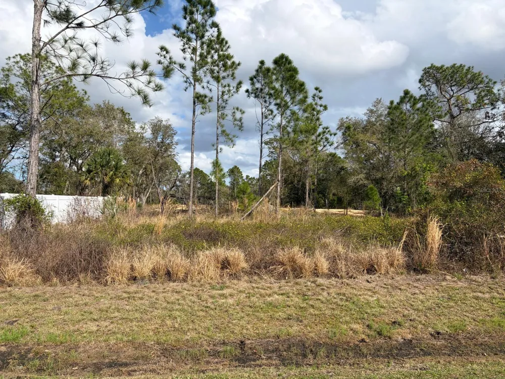 202 SPOONBILL DRIVE Poinciana, FL 34759