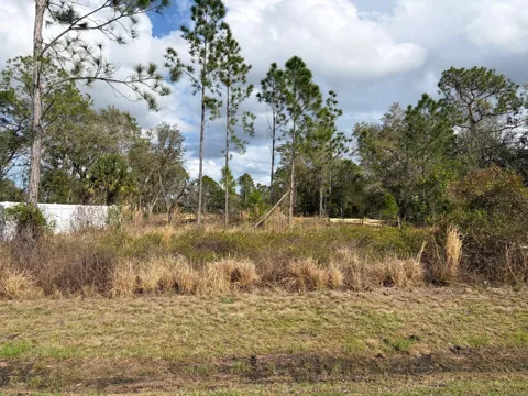 202 SPOONBILL DRIVE