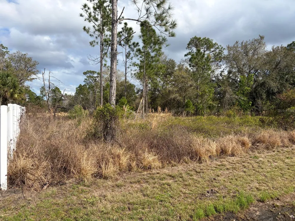 202 SPOONBILL DRIVE Poinciana, FL 34759