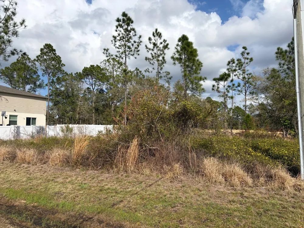 202 SPOONBILL DRIVE Poinciana, FL 34759