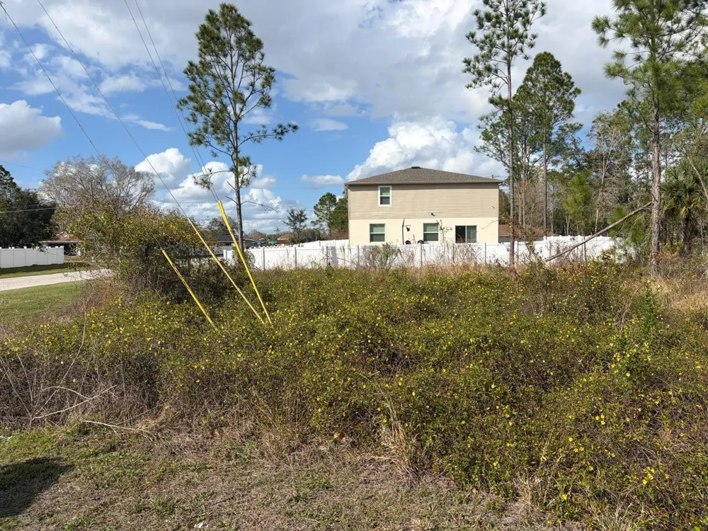 202 SPOONBILL DRIVE Poinciana, FL 34759