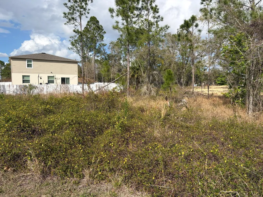 202 SPOONBILL DRIVE Poinciana, FL 34759