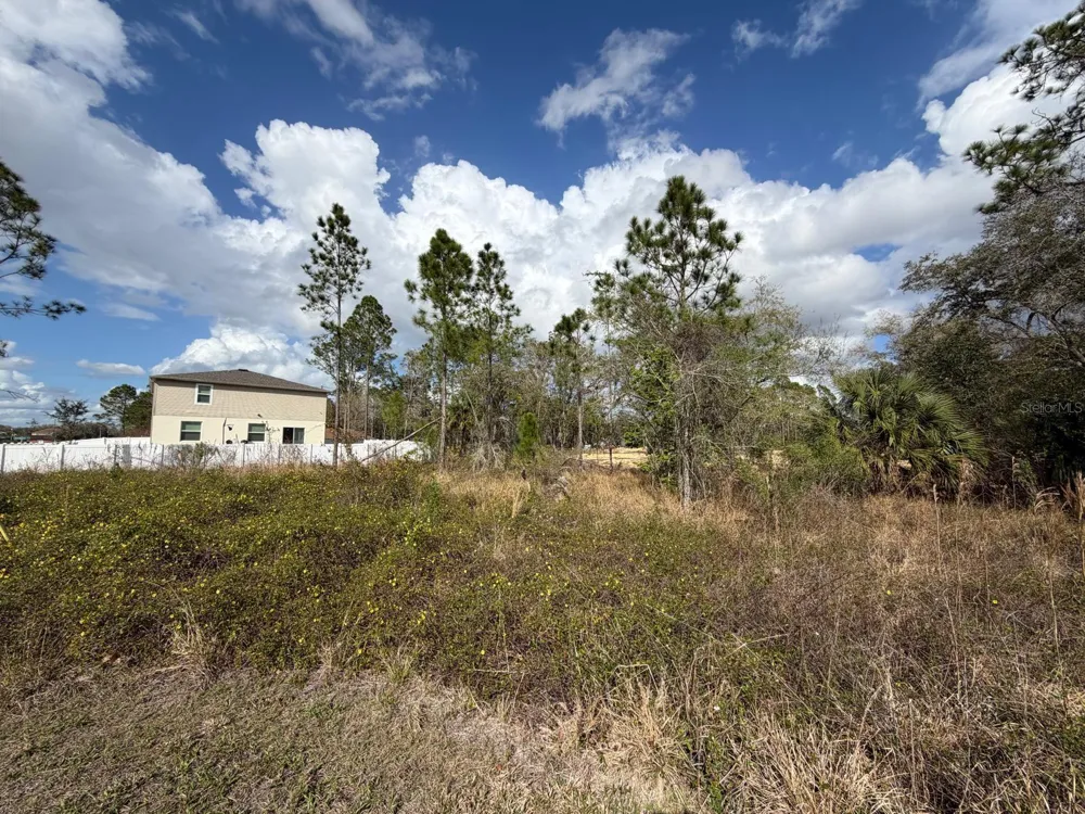 202 SPOONBILL DRIVE Poinciana, FL 34759