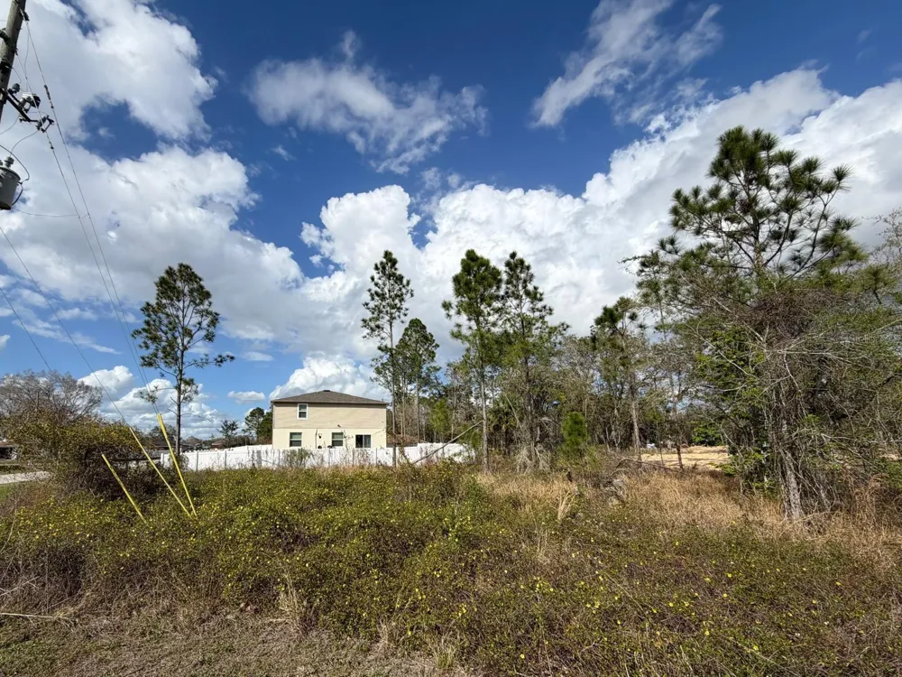 202 SPOONBILL DRIVE Poinciana, FL 34759