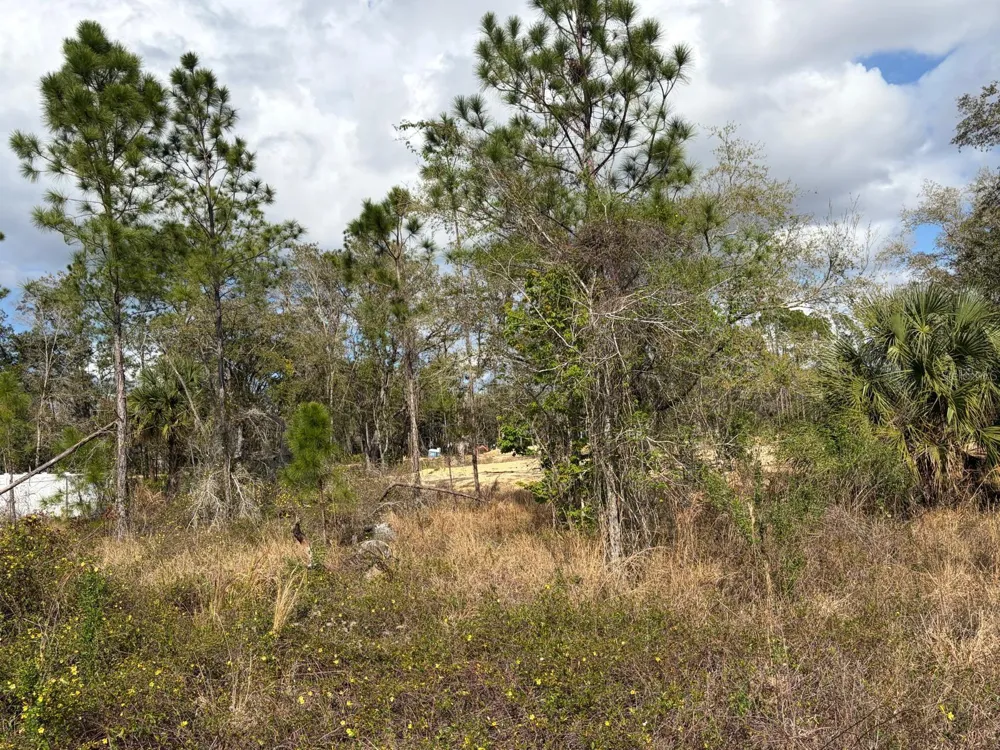 202 SPOONBILL DRIVE Poinciana, FL 34759