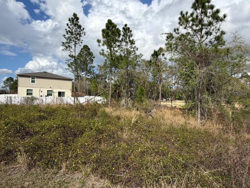 202 SPOONBILL DRIVE Poinciana, FL 34759