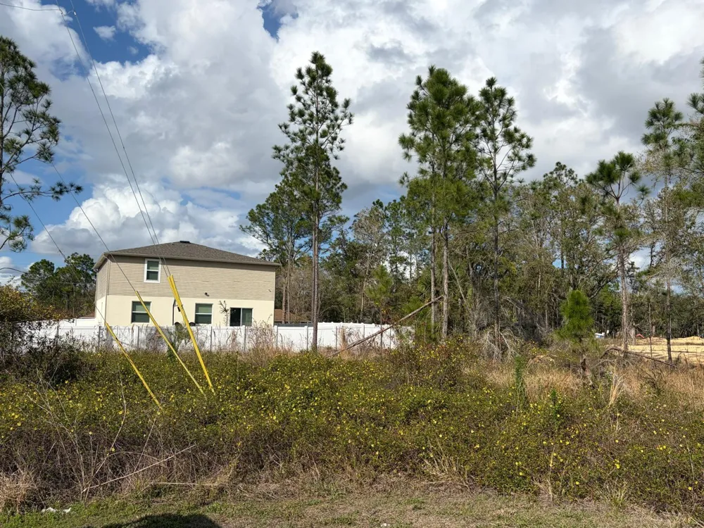 202 SPOONBILL DRIVE Poinciana, FL 34759