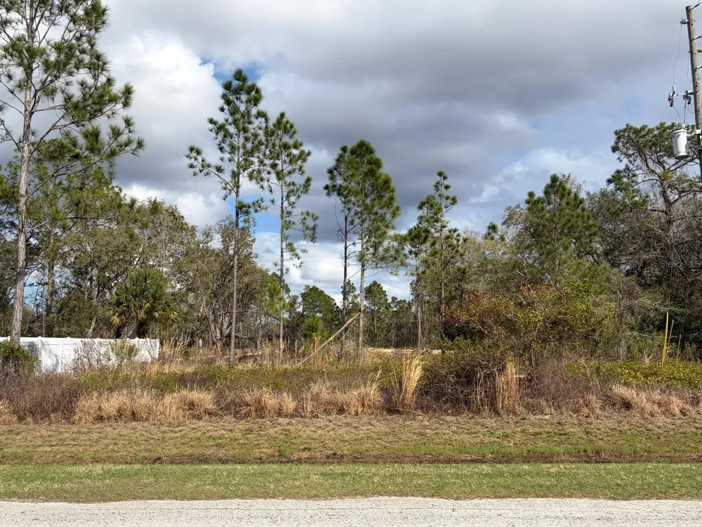 202 SPOONBILL DRIVE Poinciana, FL 34759