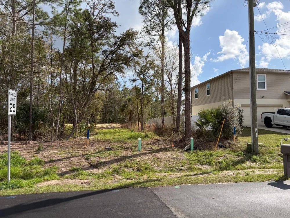 202 SPOONBILL DRIVE Poinciana, FL 34759