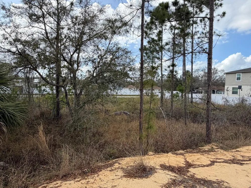202 SPOONBILL DRIVE Poinciana, FL 34759