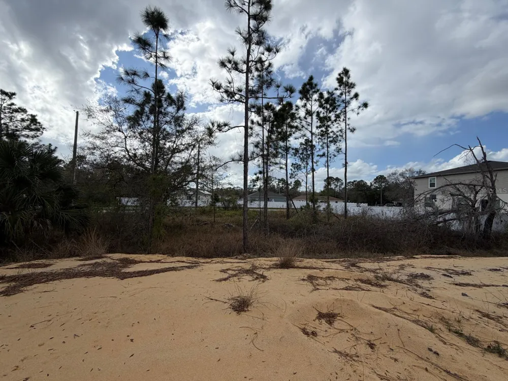202 SPOONBILL DRIVE Poinciana, FL 34759