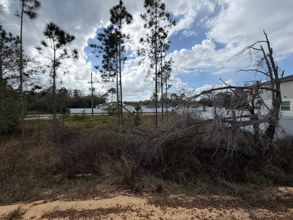 202 SPOONBILL DRIVE Poinciana, FL 34759
