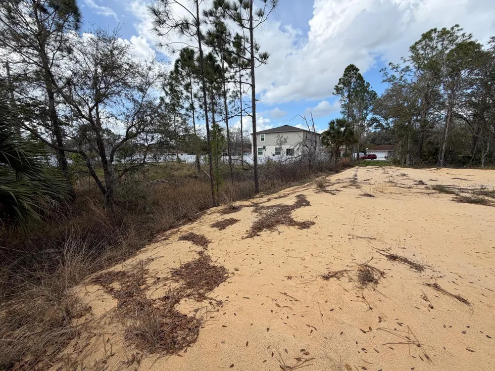 202 SPOONBILL DRIVE Poinciana, FL 34759