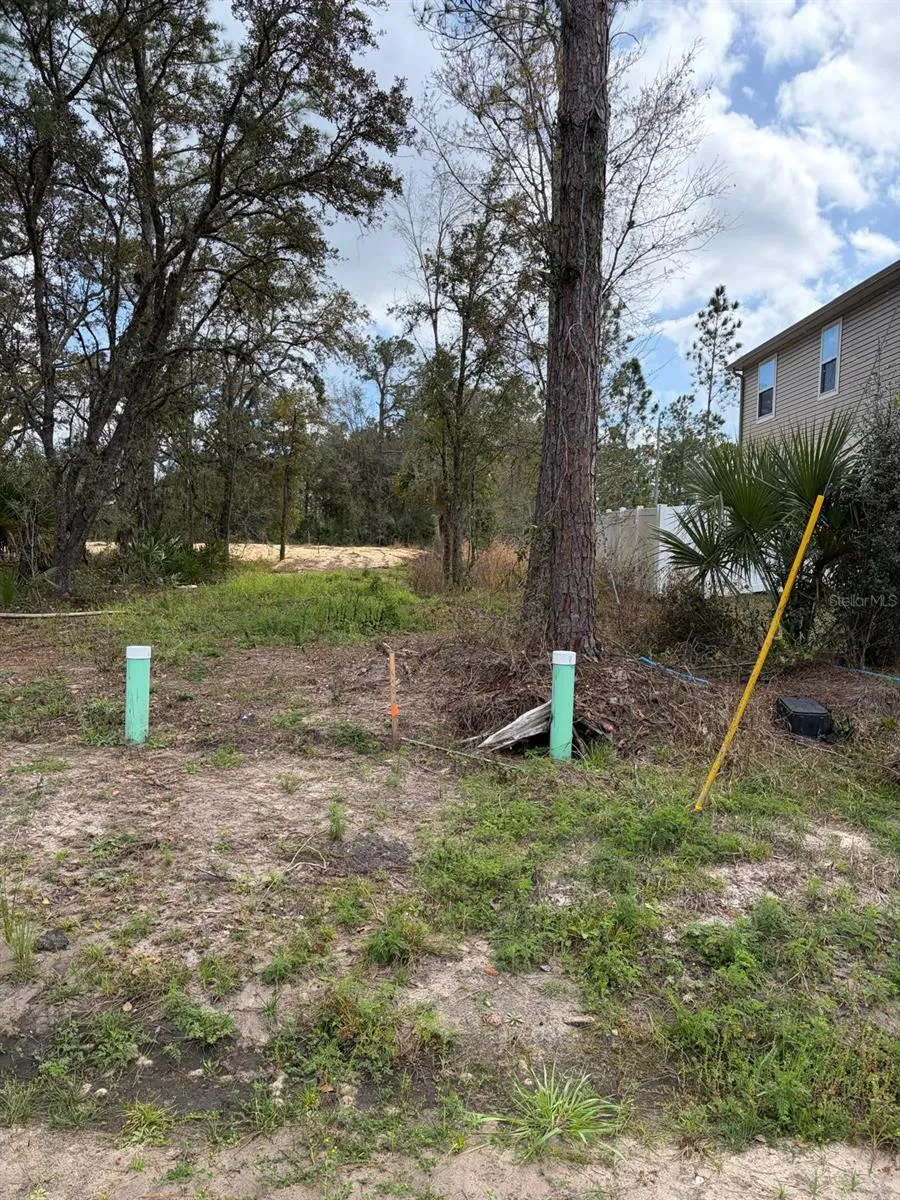 202 SPOONBILL DRIVE Poinciana, FL 34759