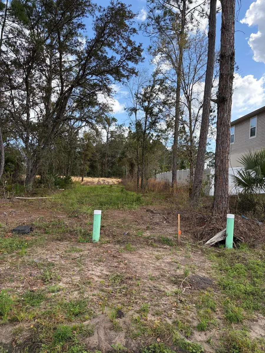 202 SPOONBILL DRIVE Poinciana, FL 34759