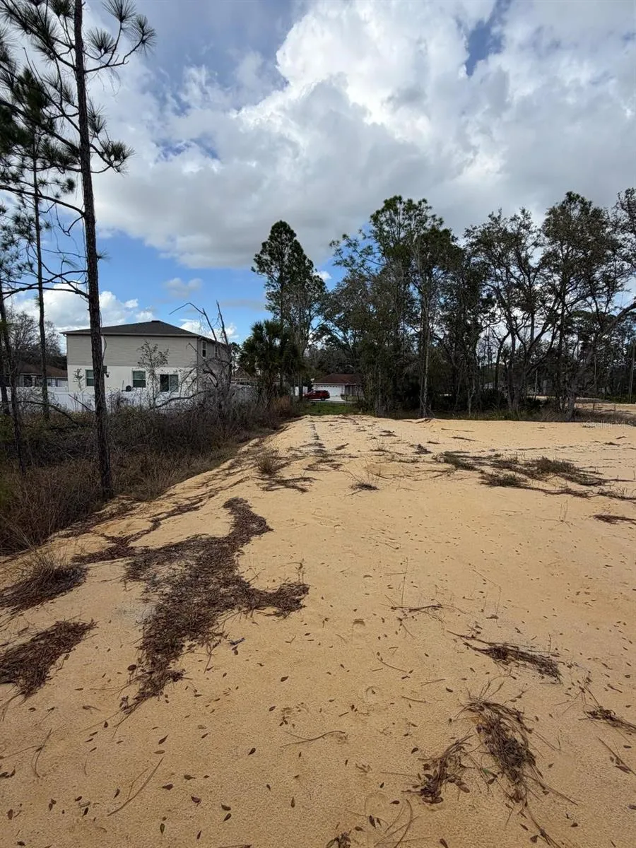 202 SPOONBILL DRIVE Poinciana, FL 34759