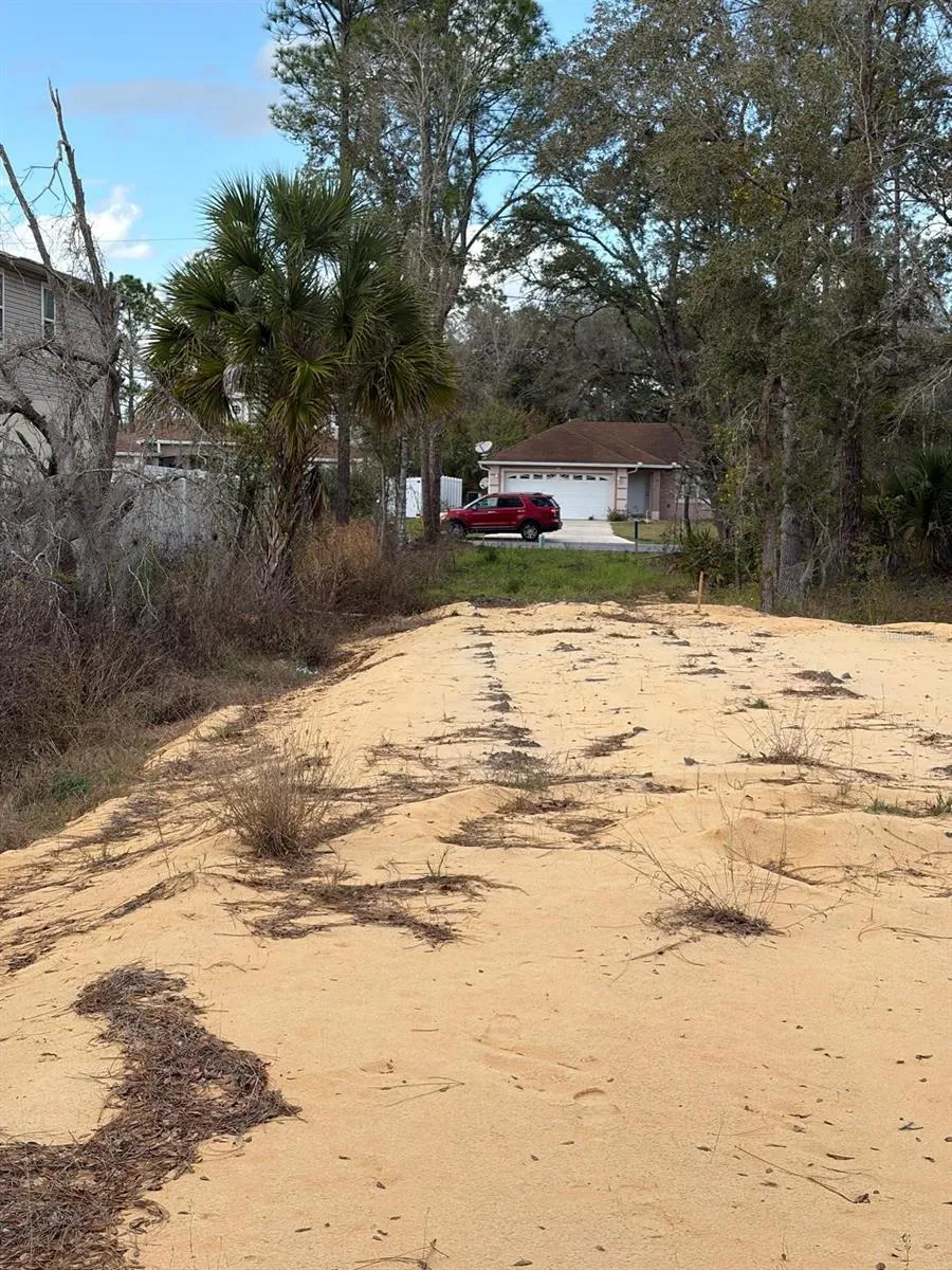 202 SPOONBILL DRIVE Poinciana, FL 34759