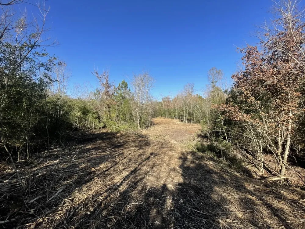 E FM 942 Corrigan, TX 75934
