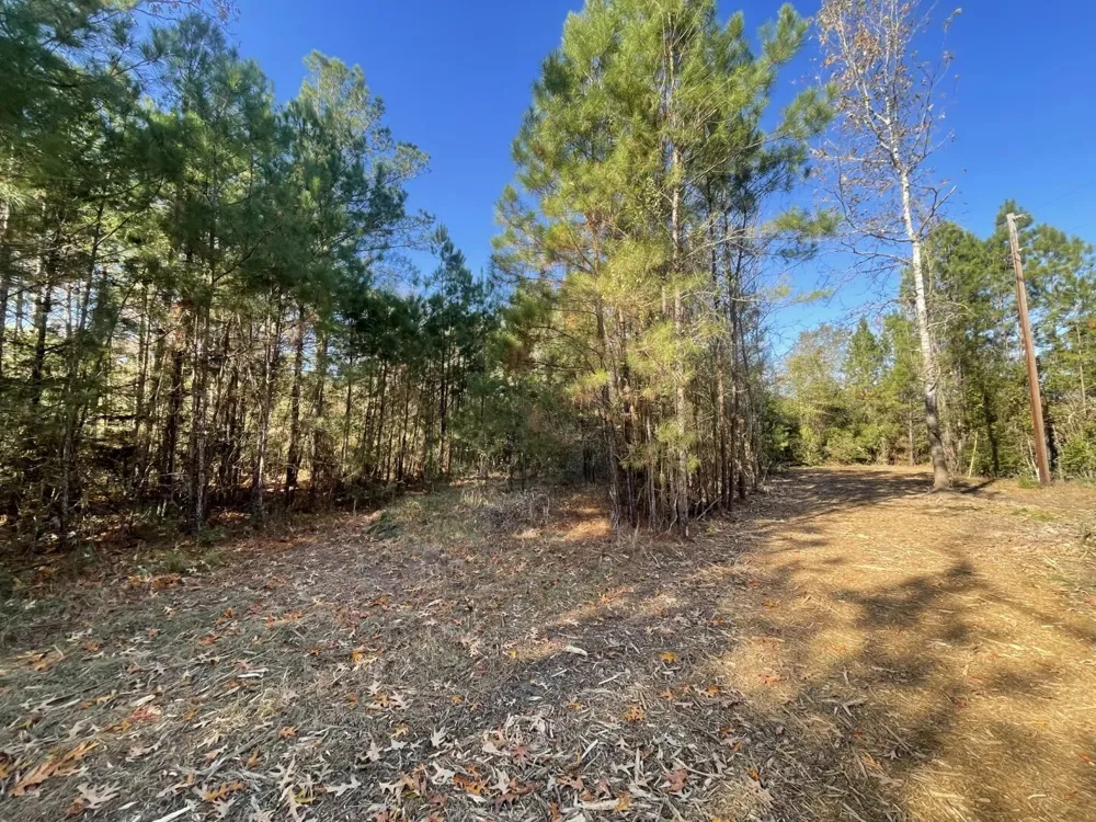 E FM 942 Corrigan, TX 75934
