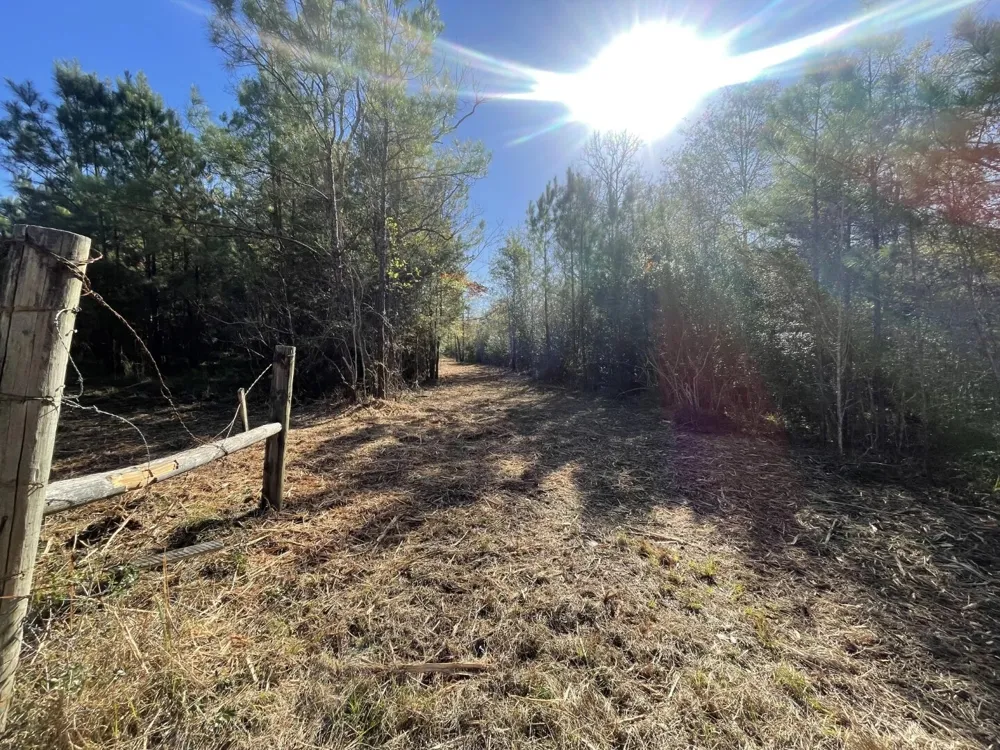 E FM 942 Corrigan, TX 75934