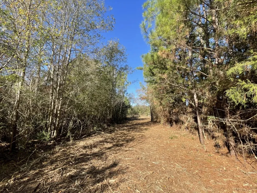 E FM 942 Corrigan, TX 75934