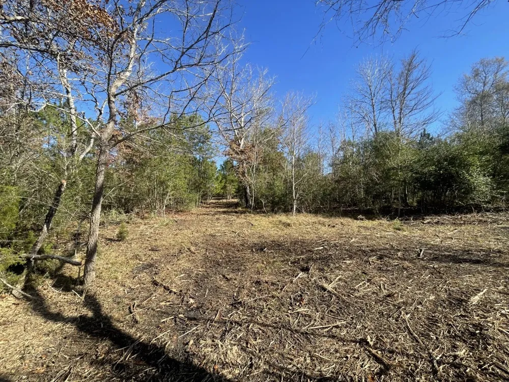 E FM 942 Corrigan, TX 75934