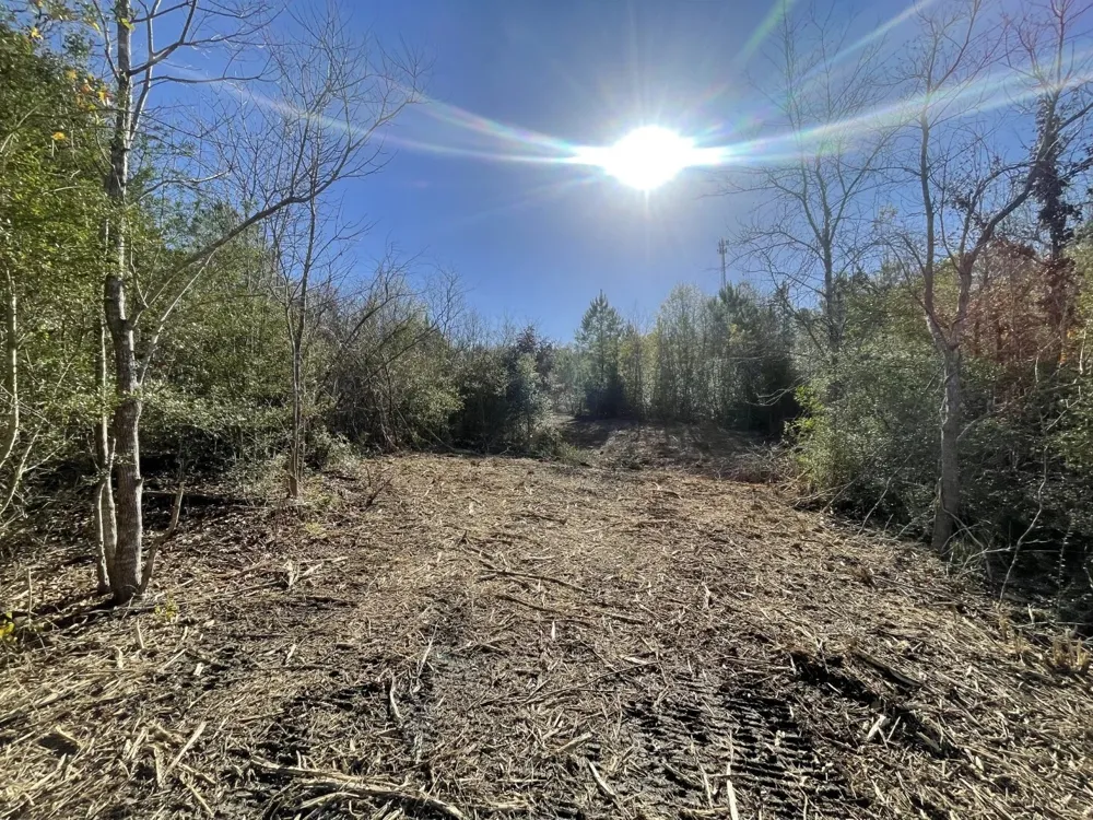 E FM 942 Corrigan, TX 75934