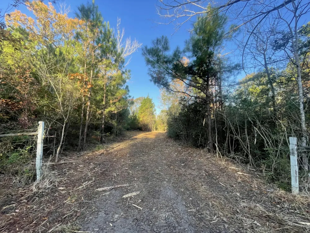 E FM 942 Corrigan, TX 75934
