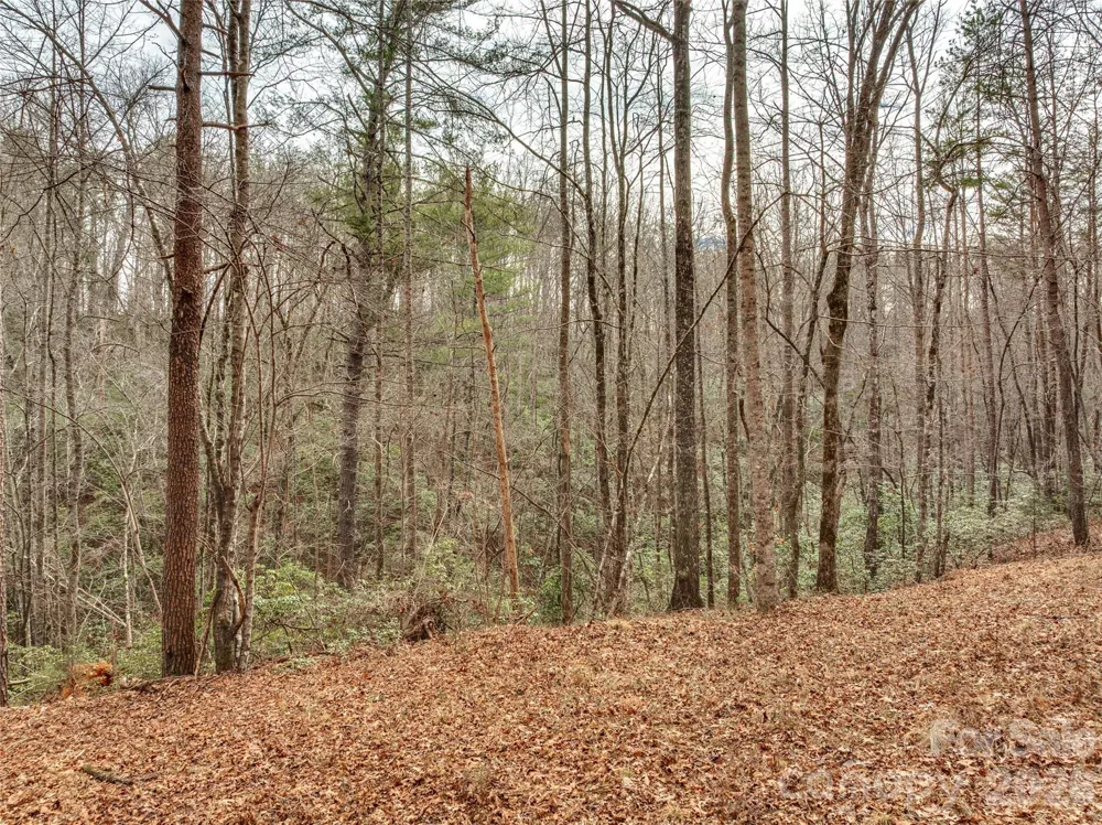 Lots 4-7 Carmel Ridge Rutherfordton, NC 28139