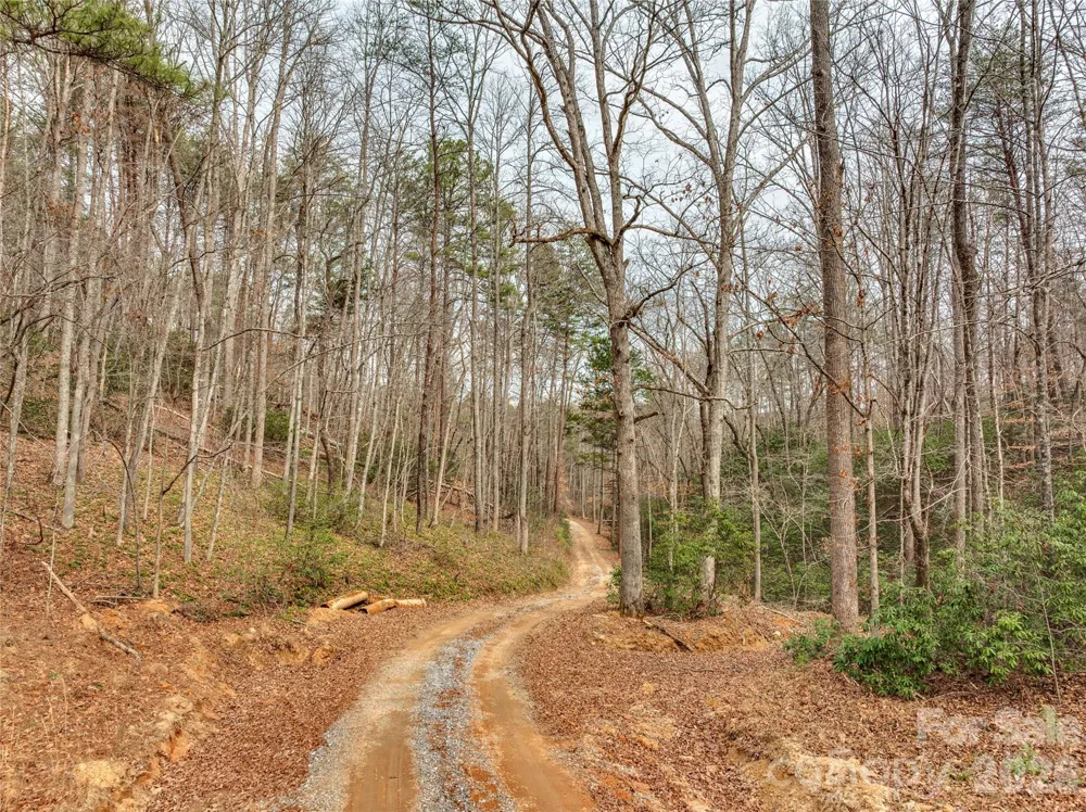 Lots 4-7 Carmel Ridge Rutherfordton, NC 28139