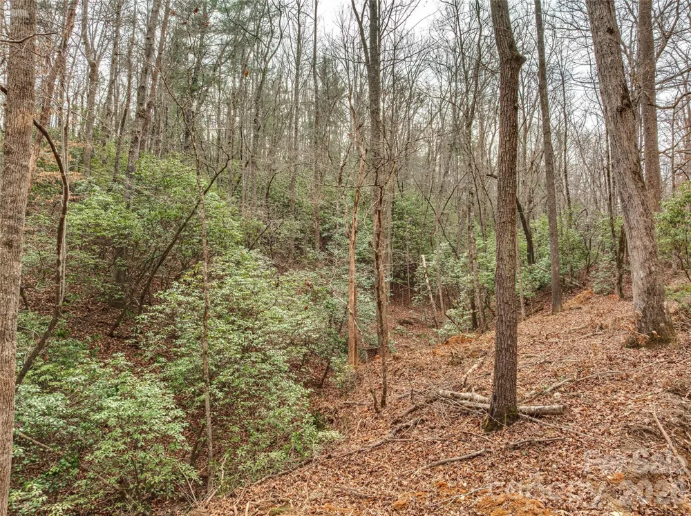 Lots 4-7 Carmel Ridge Rutherfordton, NC 28139