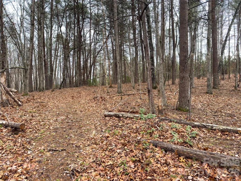 Lots 4-7 Carmel Ridge Rutherfordton, NC 28139