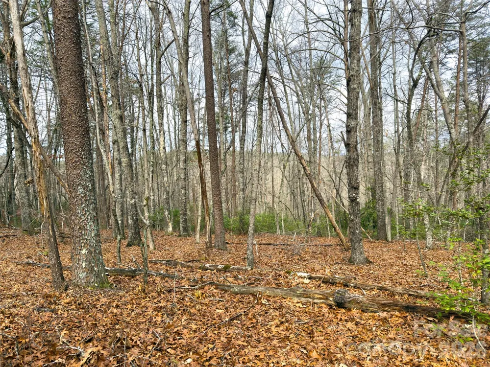 Lots 4-7 Carmel Ridge Rutherfordton, NC 28139