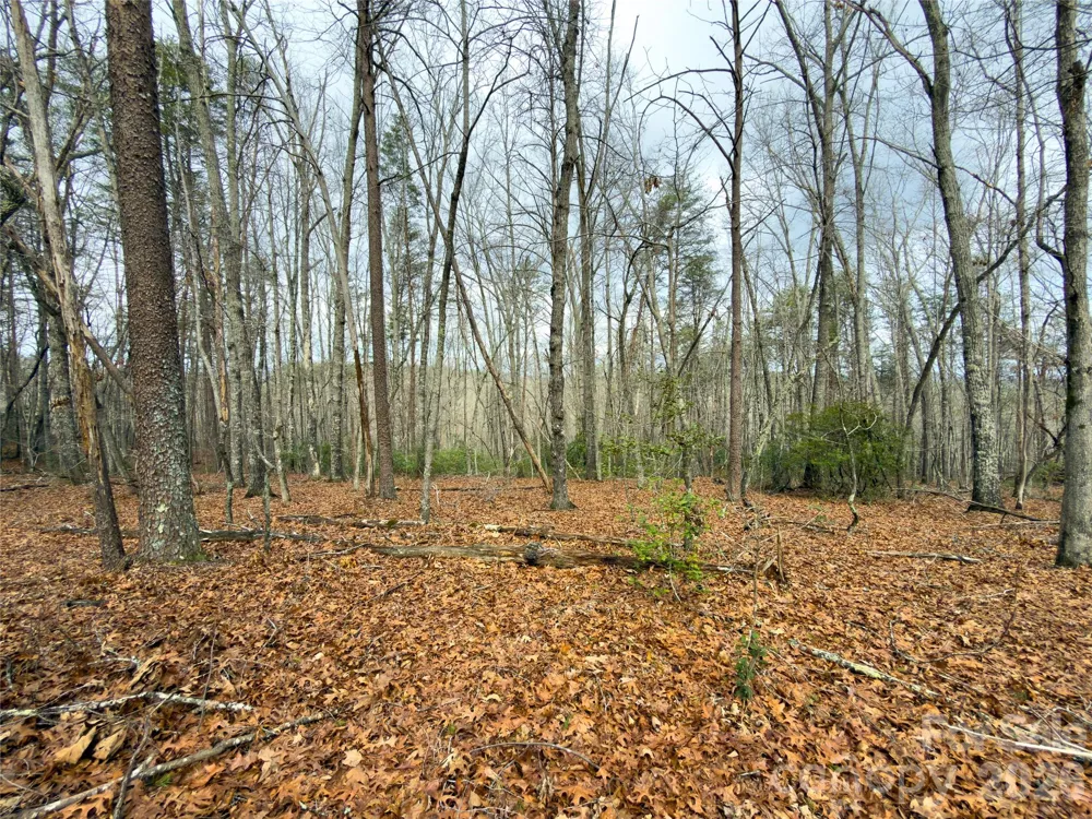 Lots 4-7 Carmel Ridge Rutherfordton, NC 28139