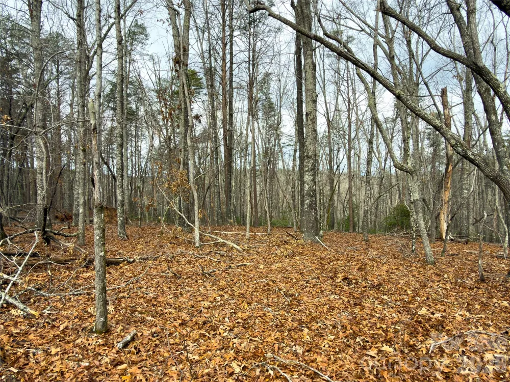 Lots 4-7 Carmel Ridge Rutherfordton, NC 28139