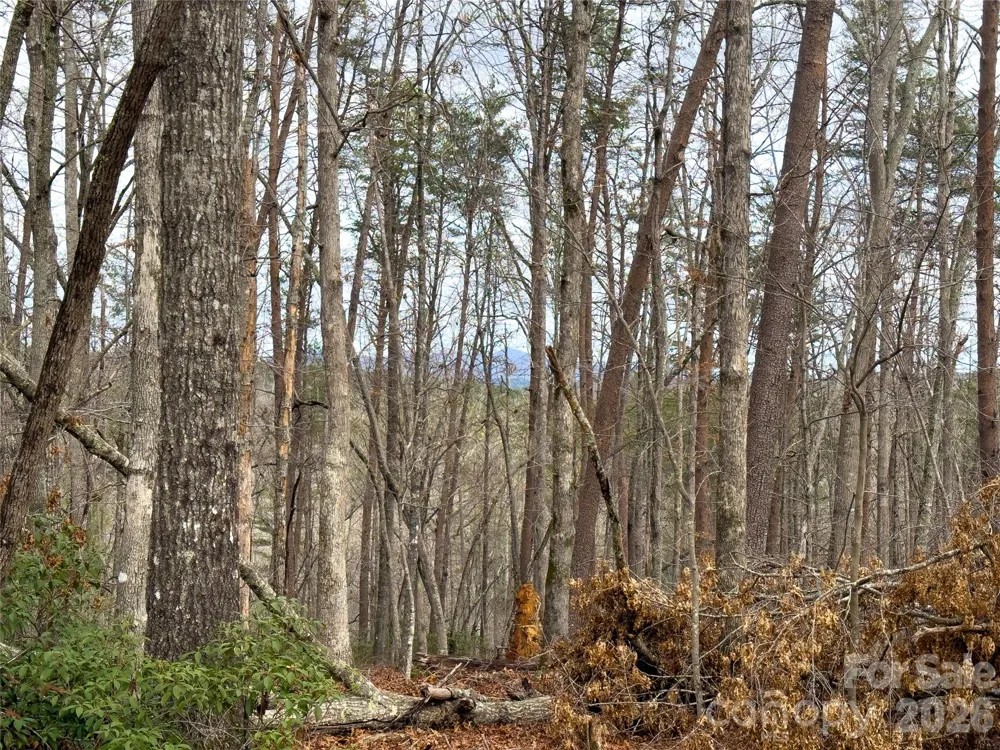 Lots 4-7 Carmel Ridge Rutherfordton, NC 28139
